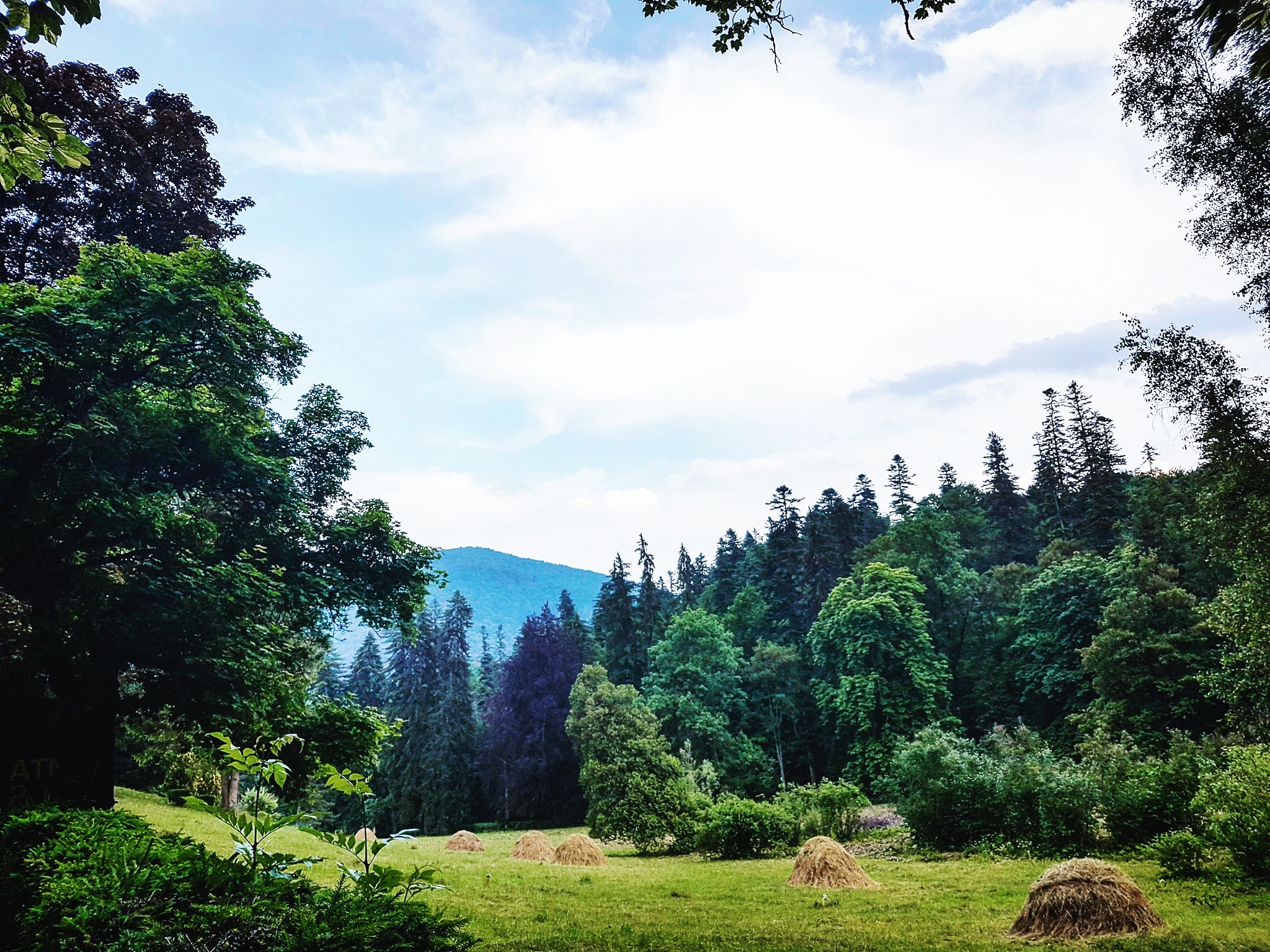 IMG_20170623_074953_853