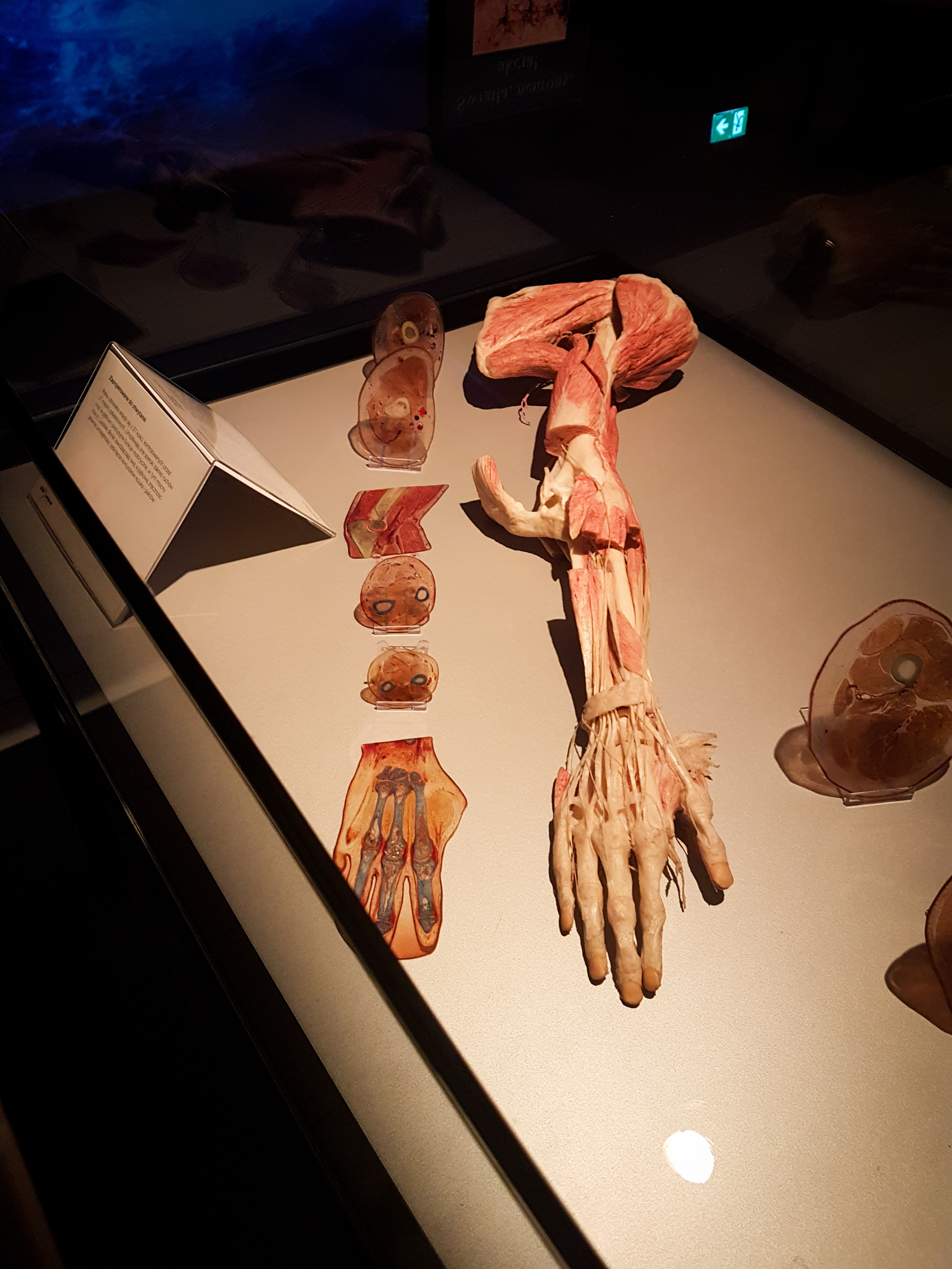 LRM_EXPORT_20180425_231536